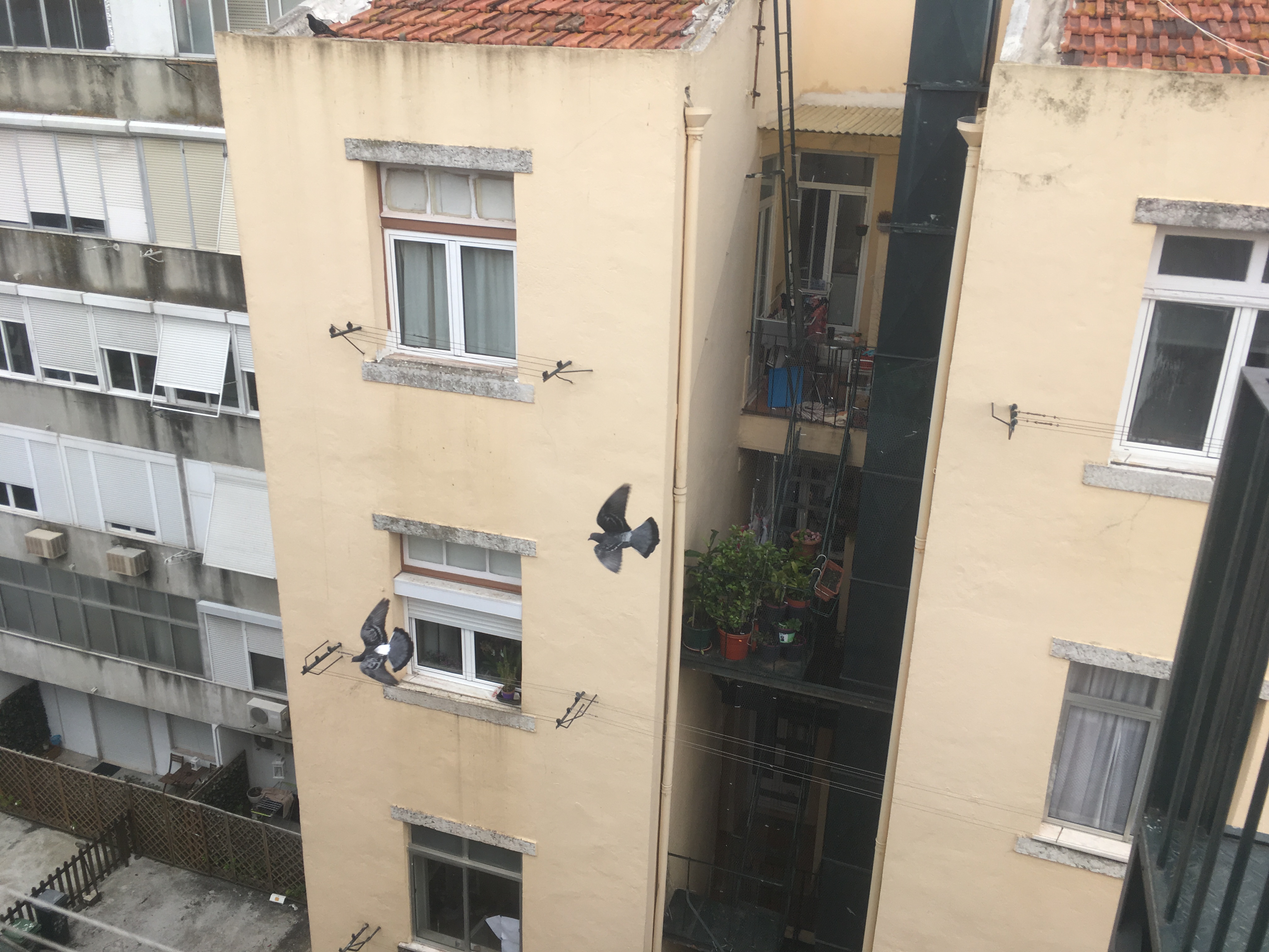 Slideshow Background