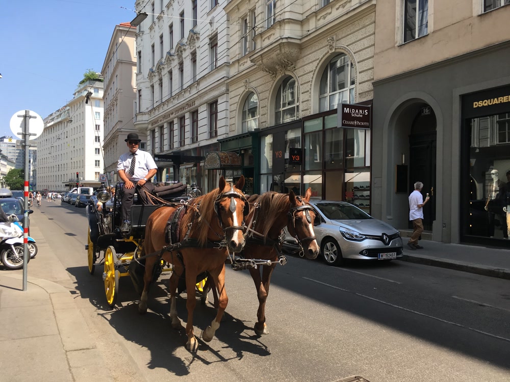 Slideshow Background