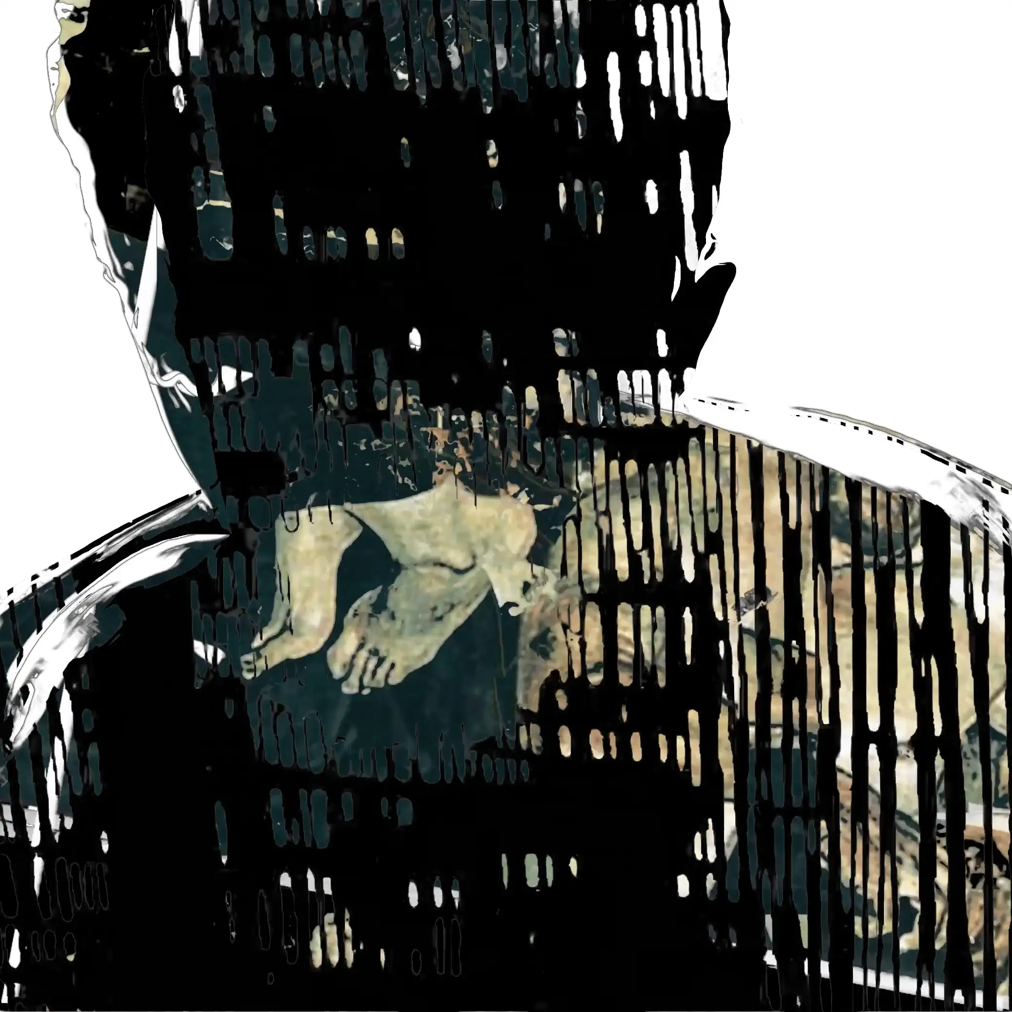 Slideshow Background