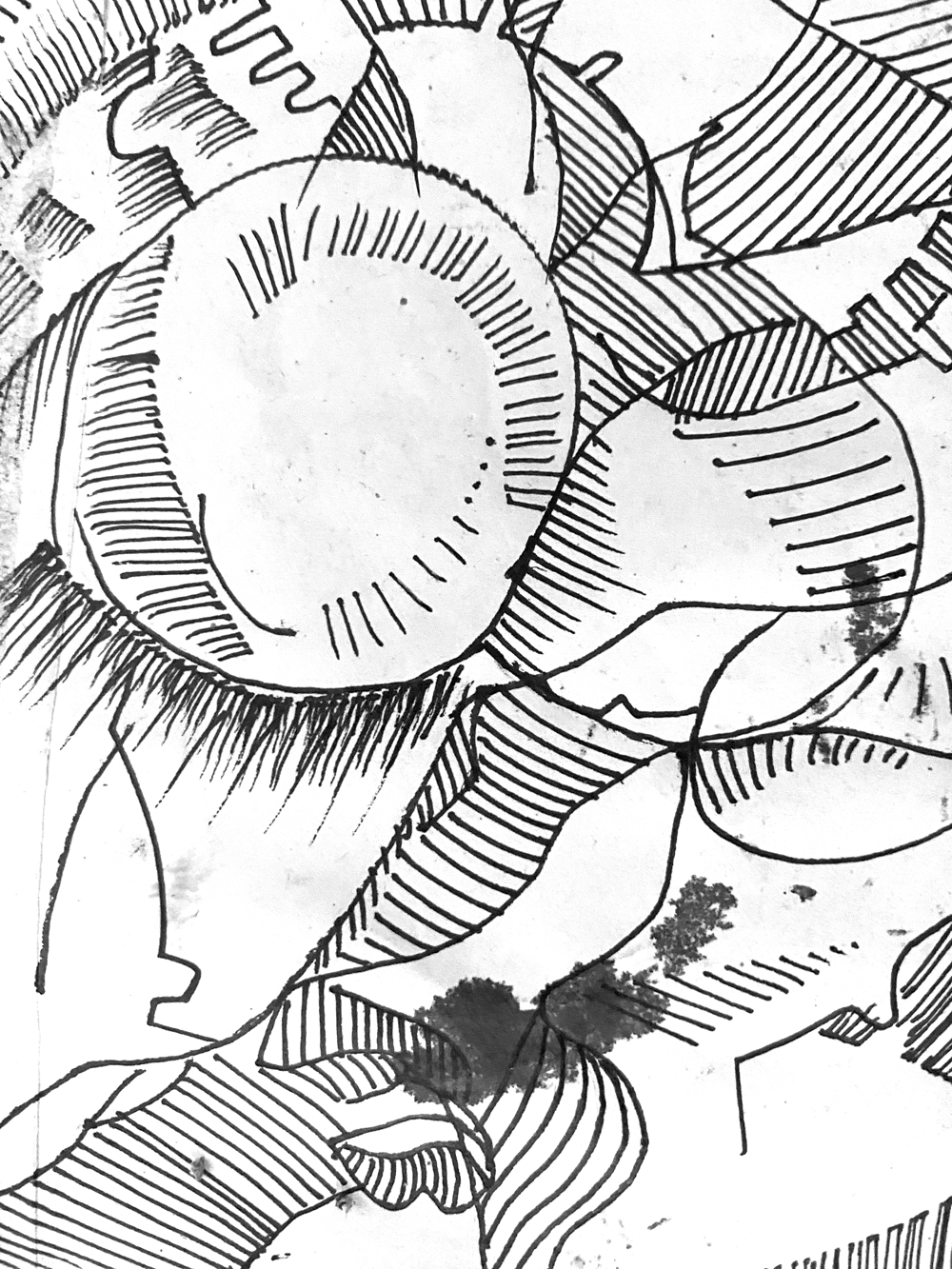 Slideshow Background