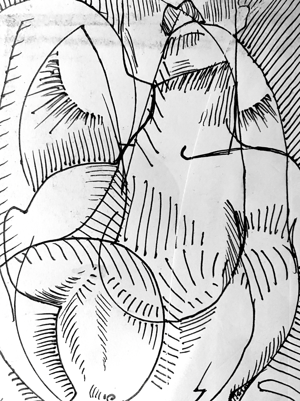 Slideshow Background