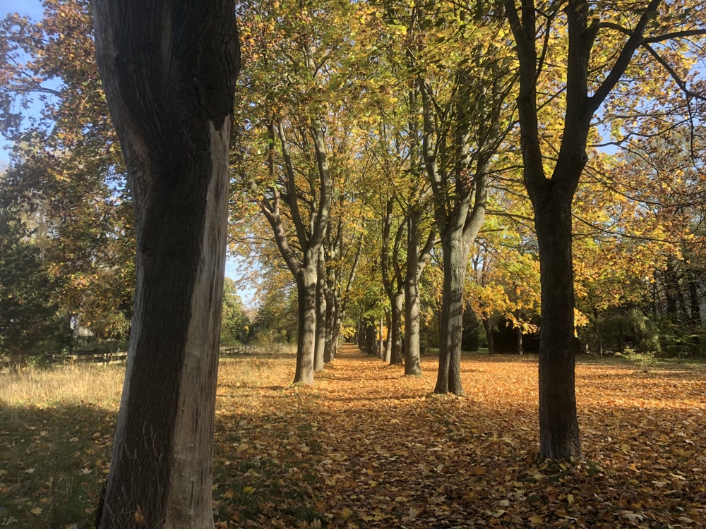 Slideshow Background