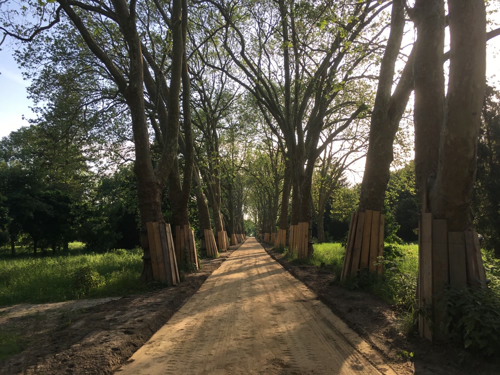 Slideshow Background